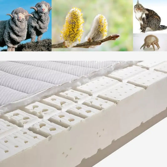 Allergieën die je slaapkwaliteit verstoren