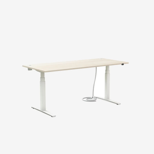 Rise Zit-Sta Bureau