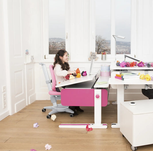 Ergonomisch aanpasbare opstelling van Moll kids