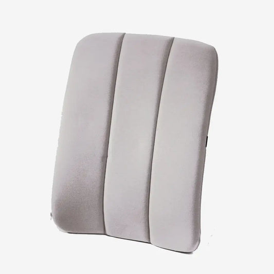 Dorsaback car